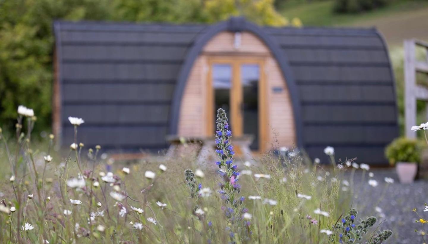 Isla Pod, Kilry Eco Pods Lejlighed Blairgowrie and Rattray Eksteriør billede